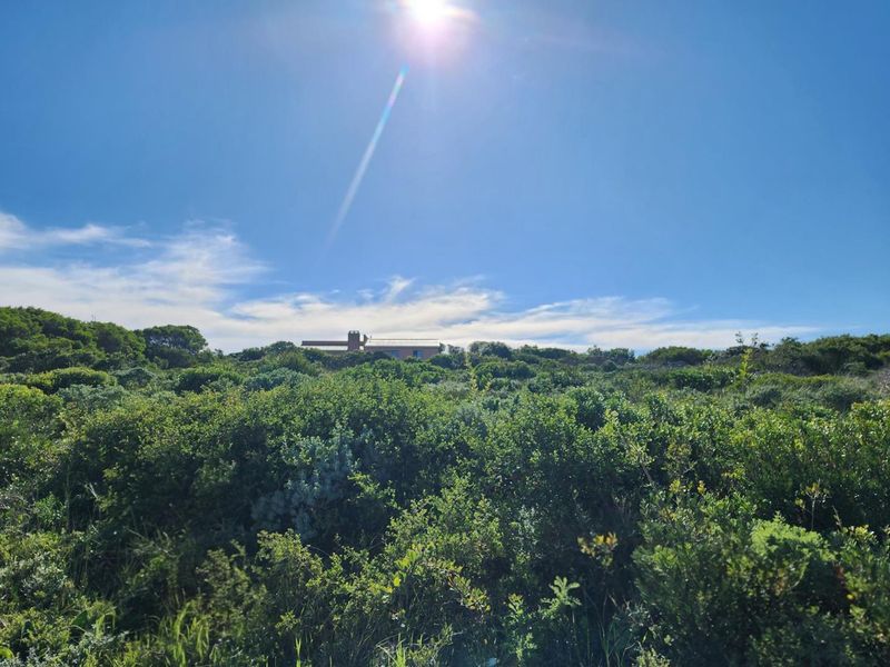 Three Neighbouring Plots in Kleinbaai - Photo 5