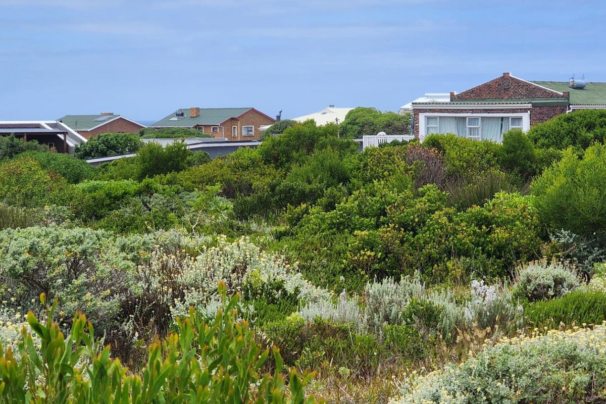 A view of the vacant residential land featuring native coastal vegetation with surrounding established homes in the background.