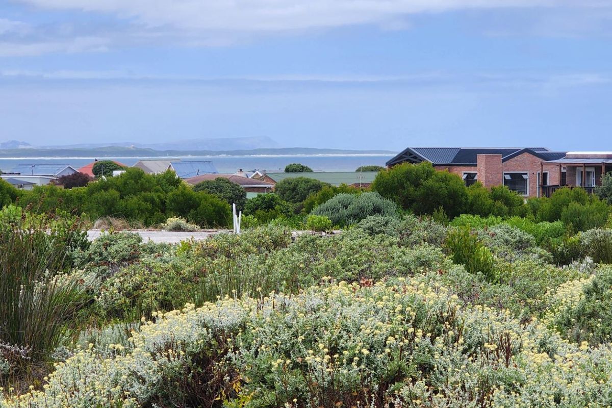 A scenic view overlooking the coastal landscape and surrounding residential neighborhood, showcasing the natural vegetation and distant ocean horizon.