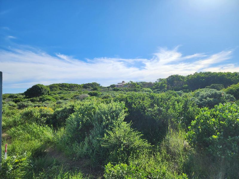 Three Neighbouring Plots in Kleinbaai, Gansbaai. - Photo 8