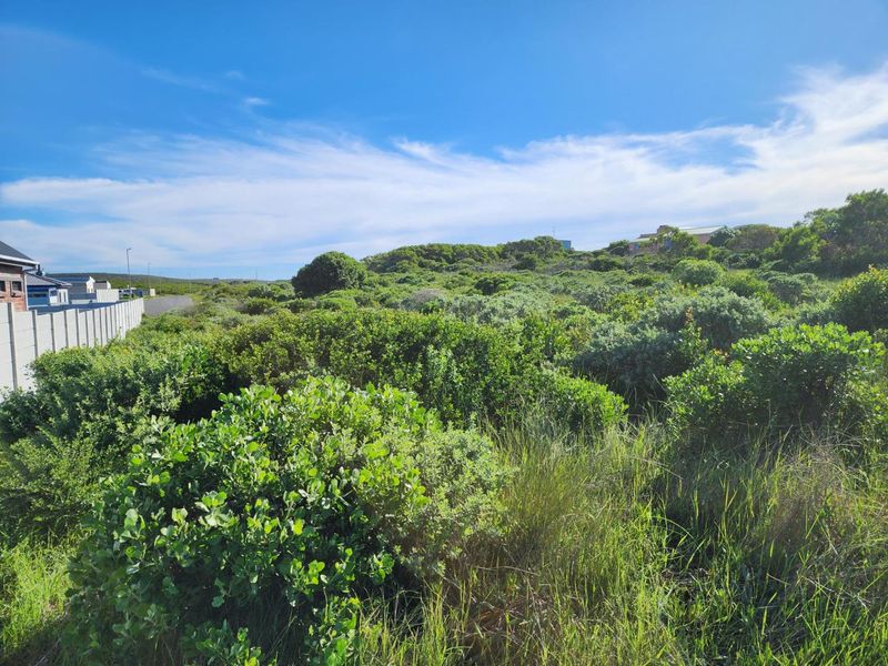 Three Neighbouring Plots in Kleinbaai, Gansbaai. - Photo 3