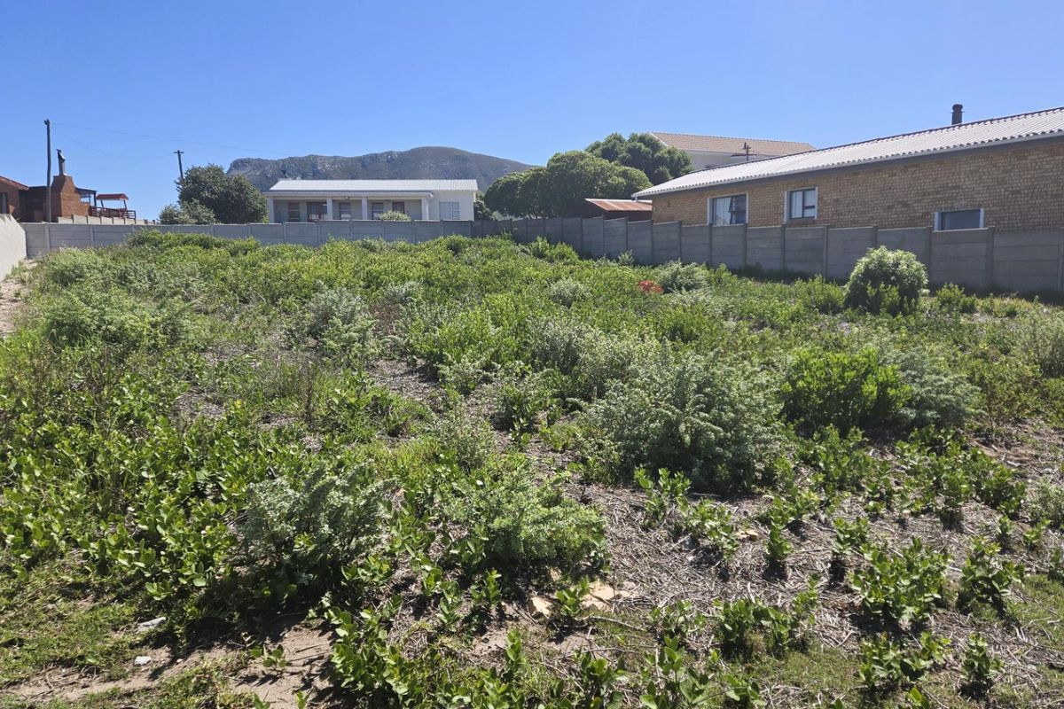 A vacant residential plot featuring natural vegetation and enclosed by perimeter walling, offering a blank canvas for future development.