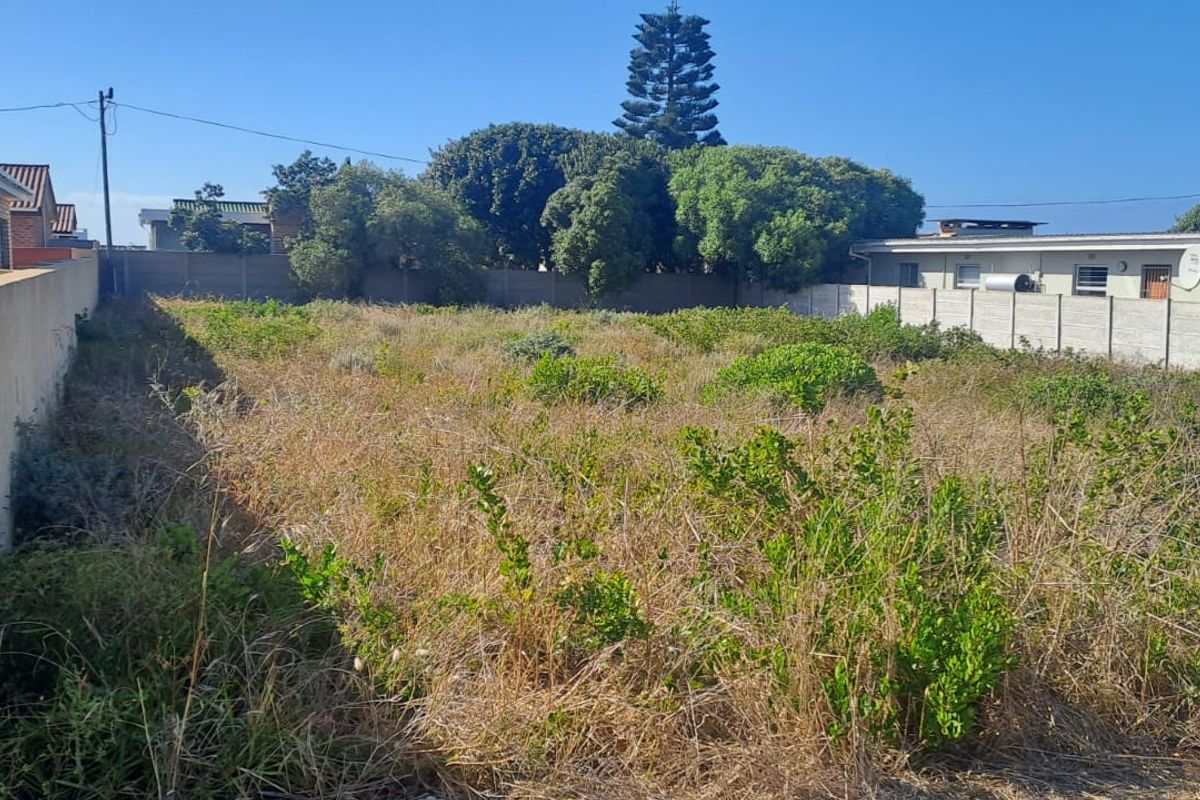 A vacant residential plot featuring perimeter boundary walls and established overgrown vegetation, offering a blank canvas for future development.