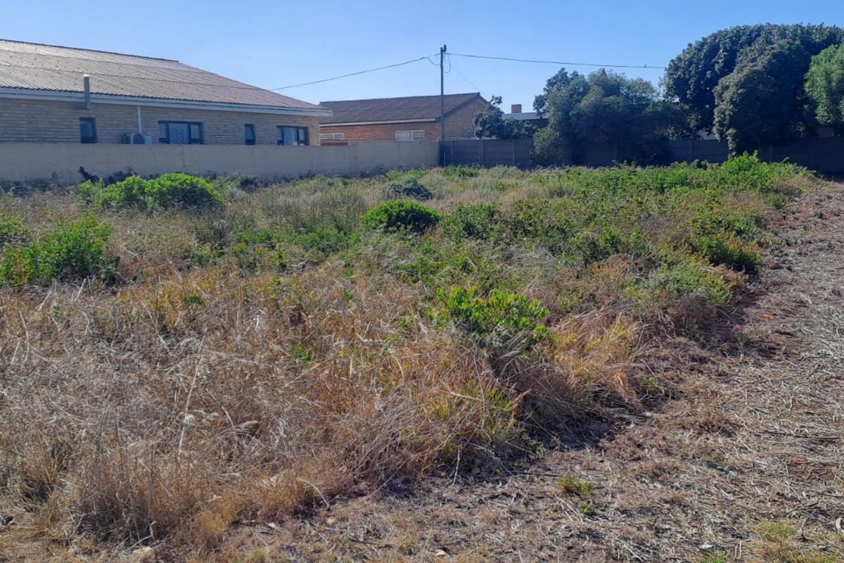 A vacant residential plot featuring natural vegetation and enclosed by boundary walls, offering a blank canvas for future development.