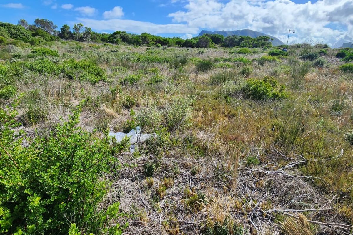 A view of a vacant residential plot featuring natural vegetation and sloped terrain, suitable for future development.