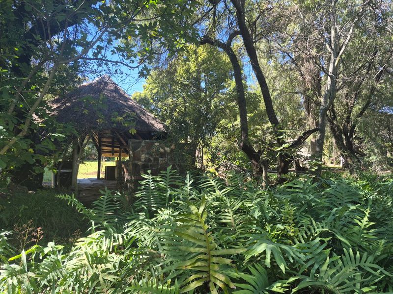 31ha Lifestyle Farm with Water Rights, River Frontage and Stunning Views - Photo 8