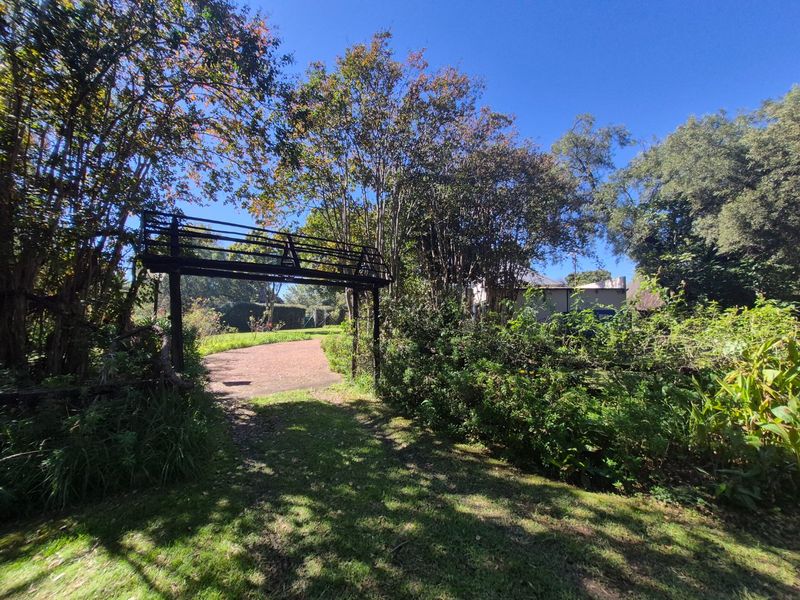 31ha Lifestyle Farm with Water Rights, River Frontage and Stunning Views - Photo 7