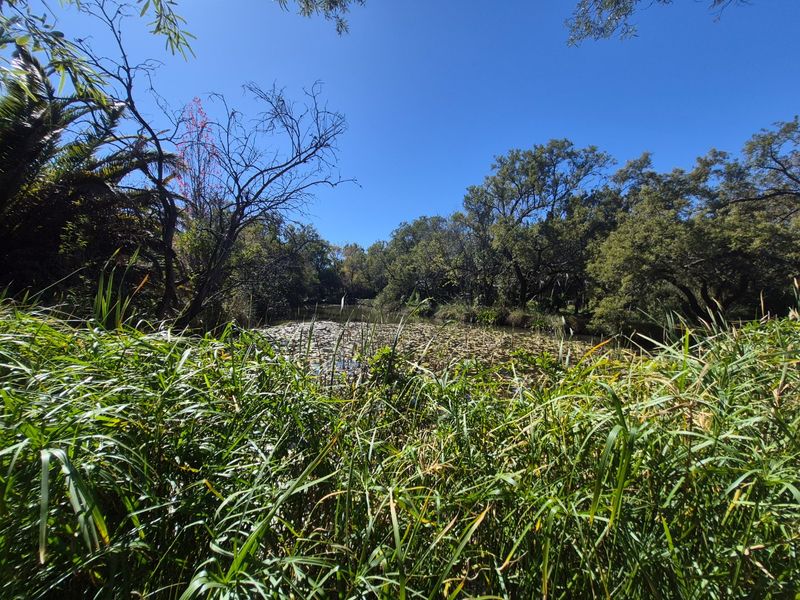 31ha Lifestyle Farm with Water Rights, River Frontage and Stunning Views - Photo 6