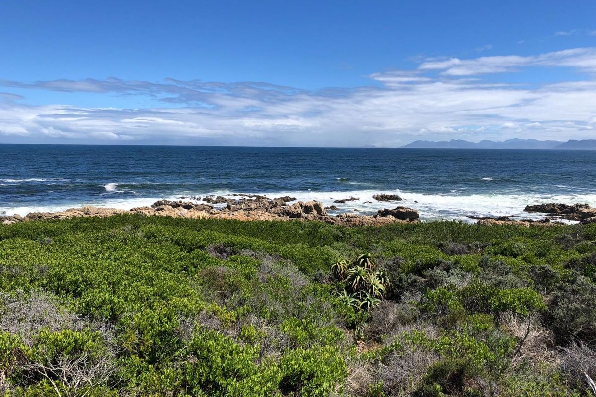 A scenic view of the ocean and rocky coastline from the vacant residential property, showcasing natural coastal vegetation and expansive sea vistas.