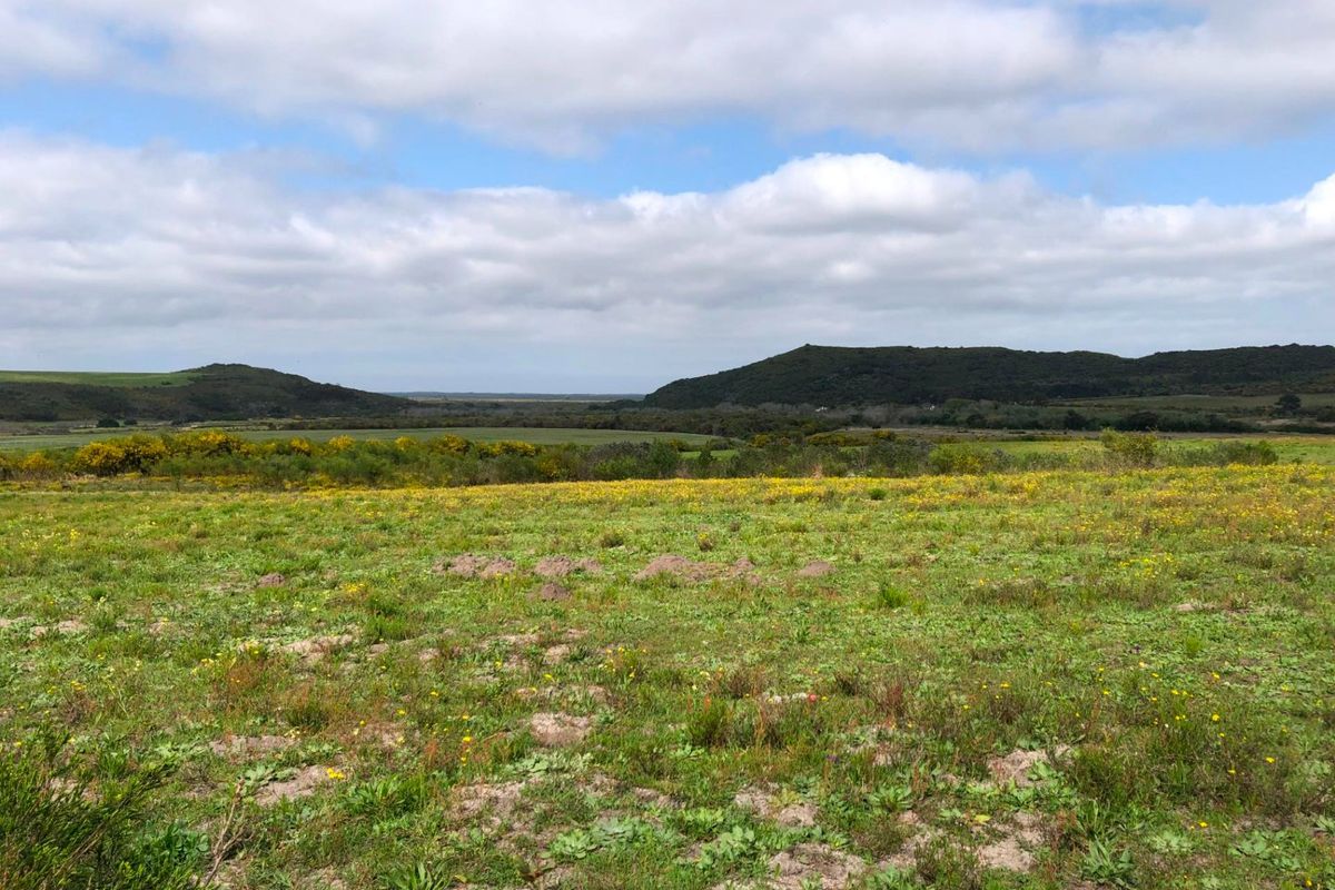 For Sale: 25ha Off-Grid Farm Gansbaai Rural - Photo 4