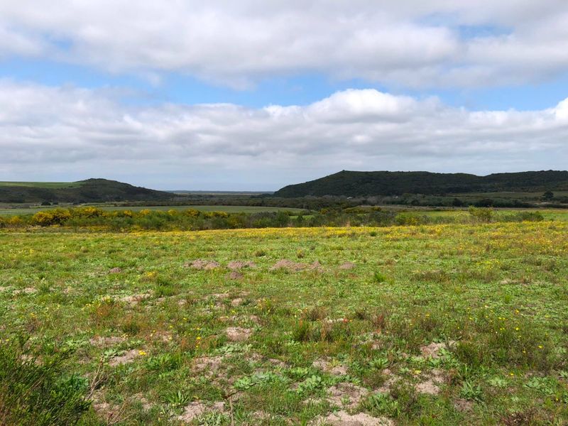 For Sale: 25ha Off-Grid Farm Gansbaai Rural - Photo 4
