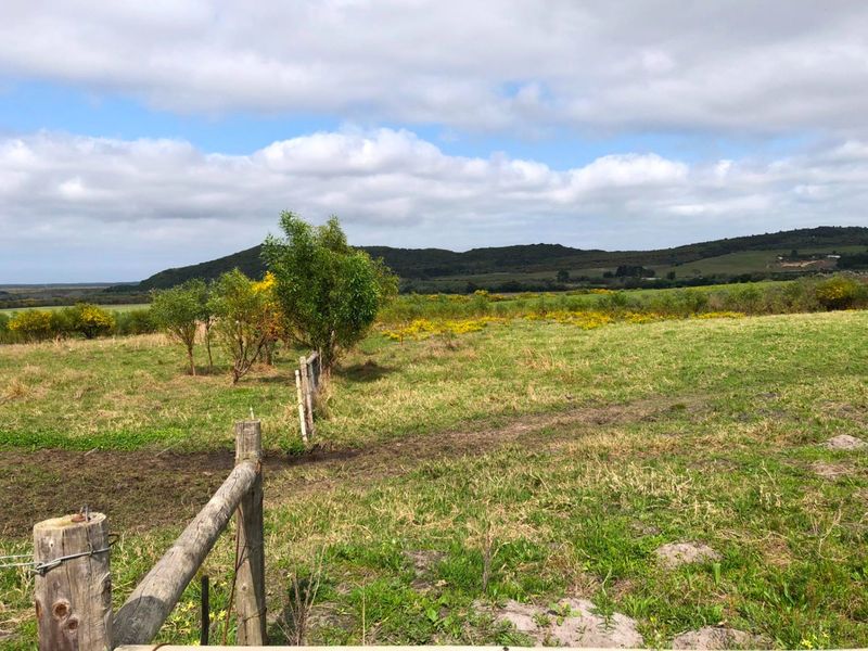 For Sale: 25ha Off-Grid Farm Gansbaai Rural - Photo 6