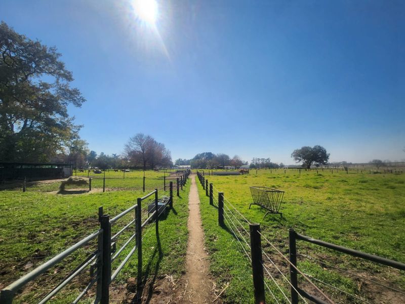 Dairy farm for sale Delmas 8.6 ha - Photo 1