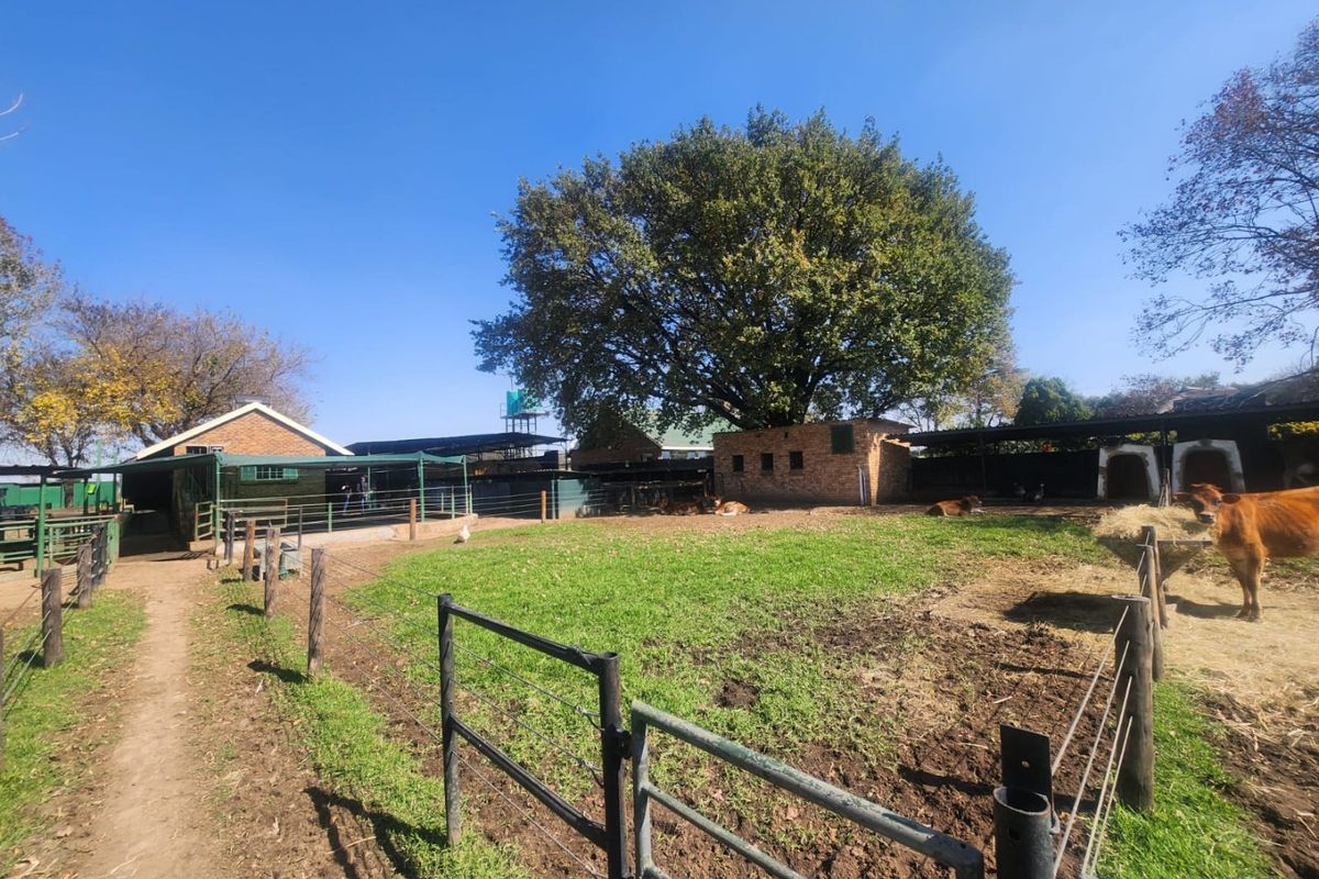 Dairy farm for sale Delmas 8.6 ha - Photo 2