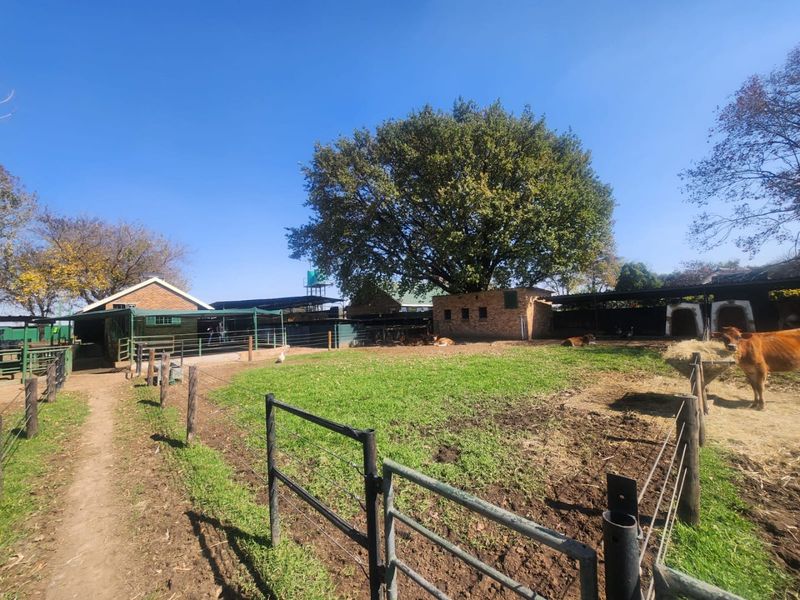 Dairy farm for sale Delmas 8.6 ha - Photo 2
