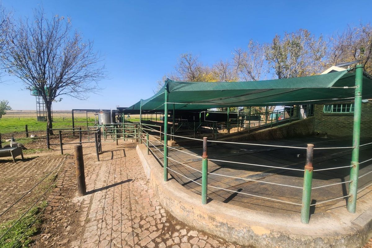 Dairy farm for sale Delmas 8.6 ha - Photo 5