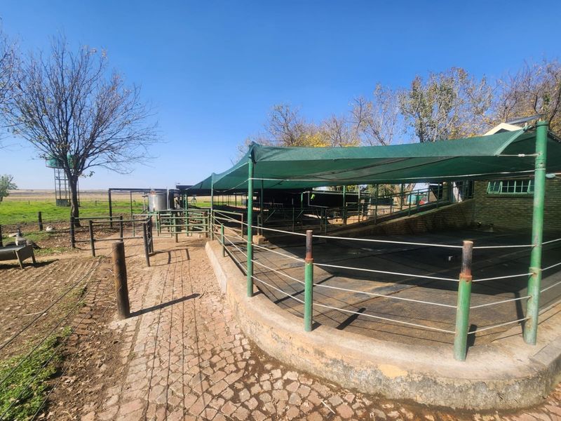 Dairy farm for sale Delmas 8.6 ha - Photo 5