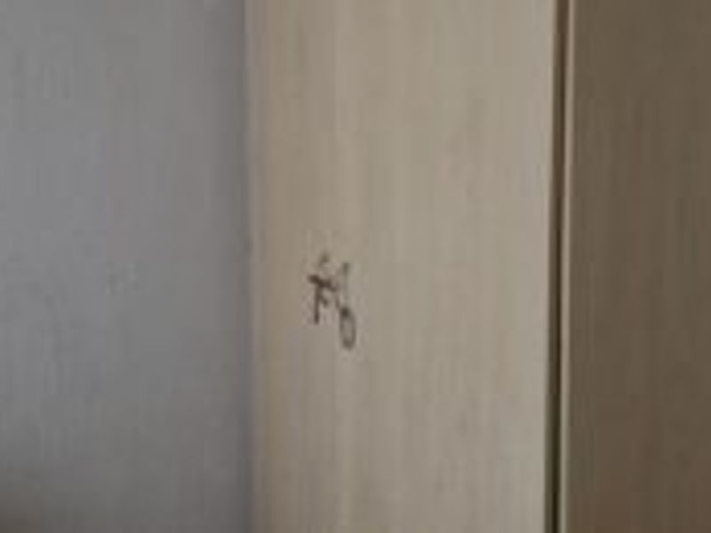 THE ORCHARDS:  3 BEDROOM HOUSE FOR SALE - Photo 5
