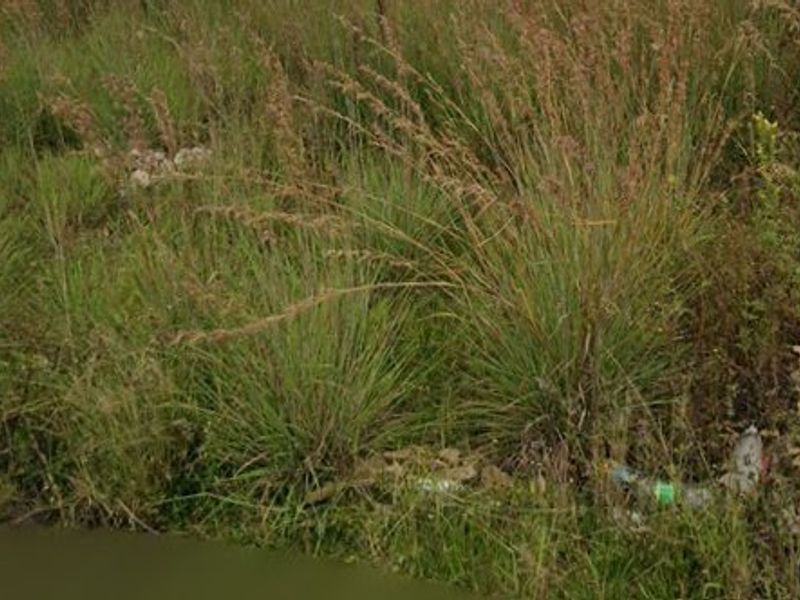 Vacant Land in Amajuba Park - Photo 2
