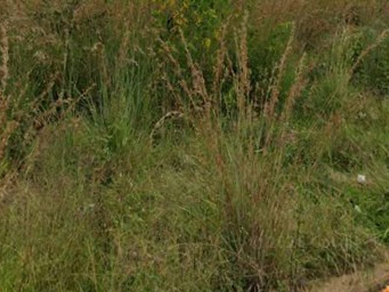 Vacant Land in Amajuba Park - Photo 3