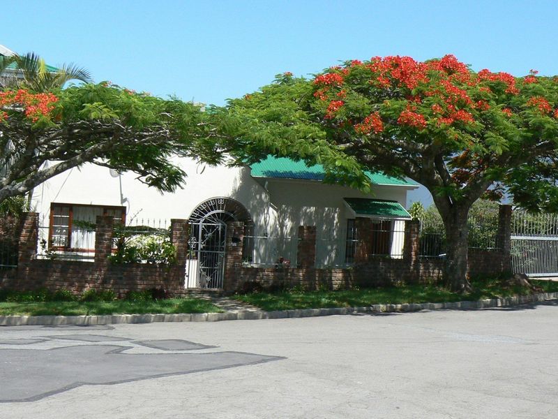 Front exterior view of a house featuring a brick boundary wall, wrought iron gate, and a green metal roof, framed by mature flowering trees.