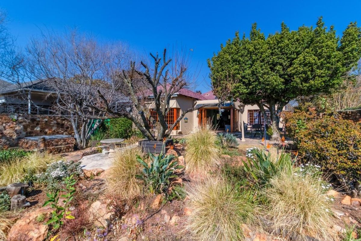 A Hidden Paradise with Spectacular Kensington Views  - Photo 4