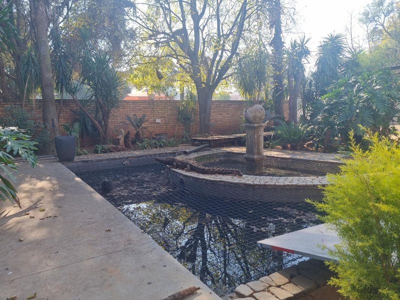 Outdoor pool area featuring a central stone fountain, concrete surround, and brick boundary wall, surrounded by mature trees and garden landscaping.