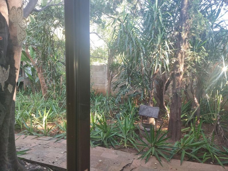 A lush, established garden featuring mature trees, dense shrubbery, a decorative stone well, and a paved walkway enclosed by a concrete boundary wall.