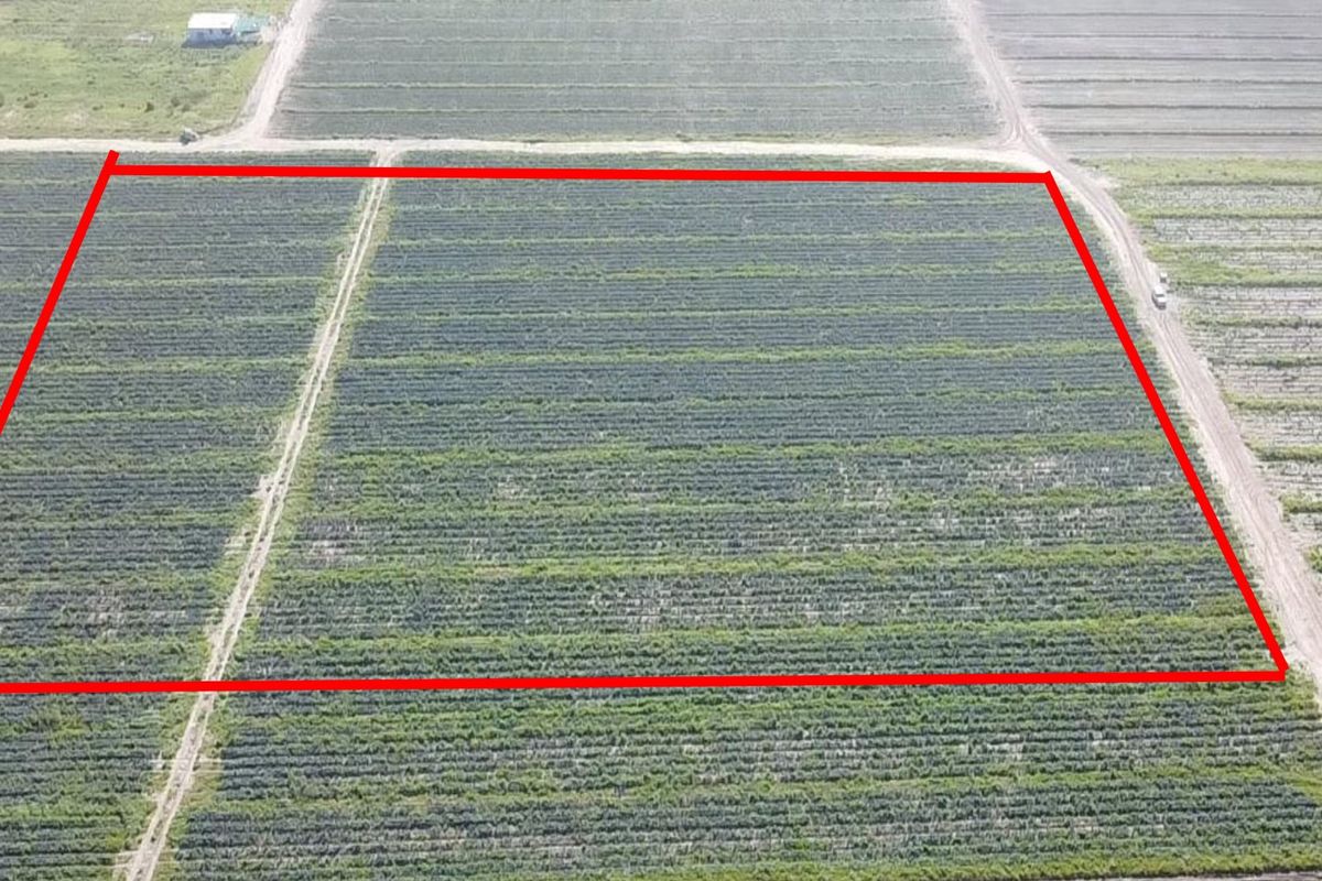 Prime 18,000sqm Agricultural Land for Sale – R1 840 000_ Position, Space & Value Combined!!! - Photo 2
