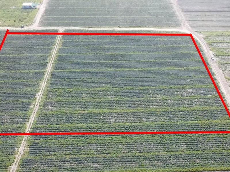 Prime 18,000sqm Agricultural Land for Sale – R1 840 000_ Position, Space & Value Combined!!! - Photo 2