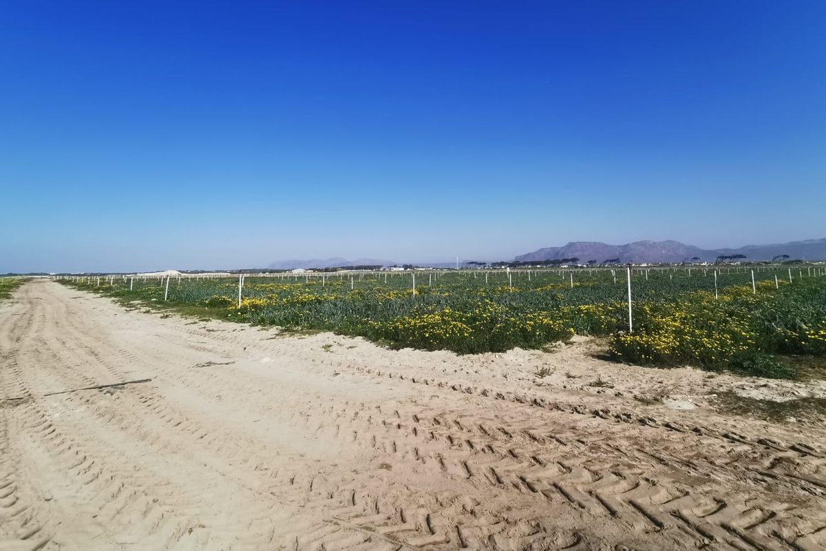 Prime 18,000sqm Agricultural Land for Sale – R1 840 000_ Position, Space & Value Combined!!! - Photo 4