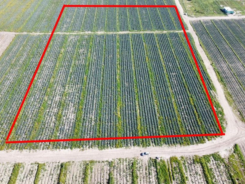 Prime 18,000sqm Agricultural Land for Sale – R1 840 000_ Position, Space & Value Combined!!! - Photo 1