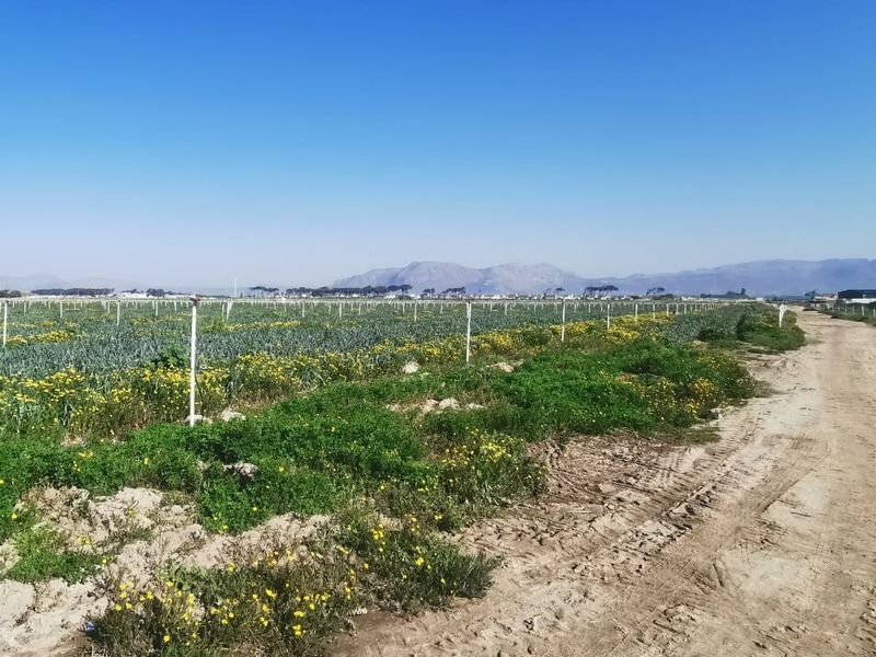 Prime 18,000sqm Agricultural Land for Sale – R1 840 000_ Position, Space & Value Combined!!! - Photo 5