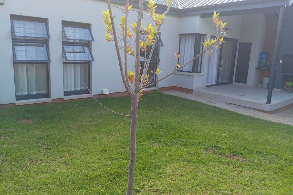 Rear view of the property featuring a well-maintained lawn, covered patio area with a built-in braai, and modern top-hung window frames.