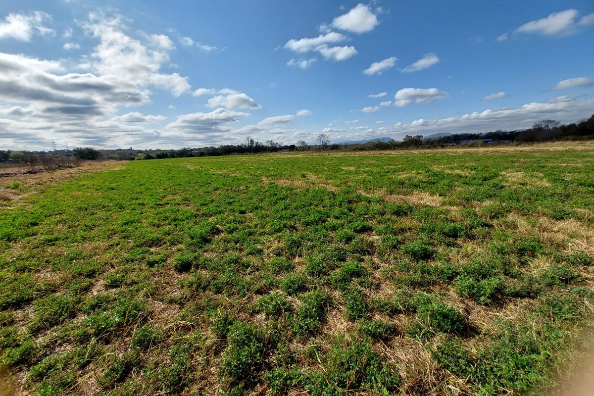 PRIME BUSINESS & AGRICULTURAL OPPORTUNITY IN BRITS - Photo 3