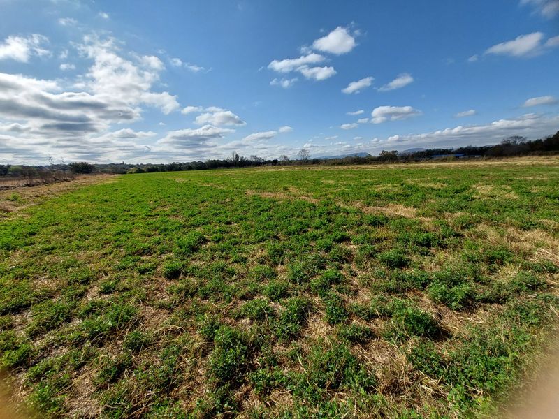 PRIME BUSINESS & AGRICULTURAL OPPORTUNITY IN BRITS - Photo 3