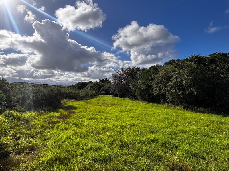 A view of a vacant residential plot featuring natural grassland and established native vegetation under a bright, cloudy sky.