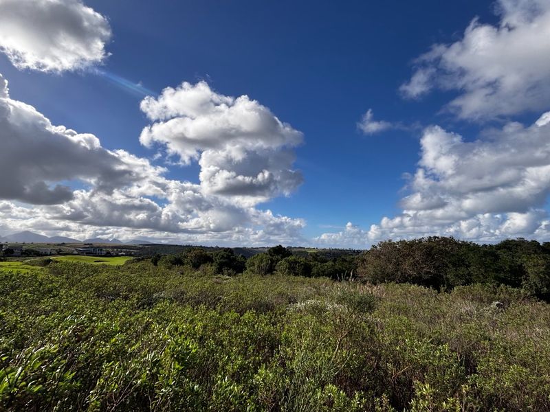 A scenic view of the natural landscape and surrounding greenery, showcasing the open space and horizon of the vacant residential land.