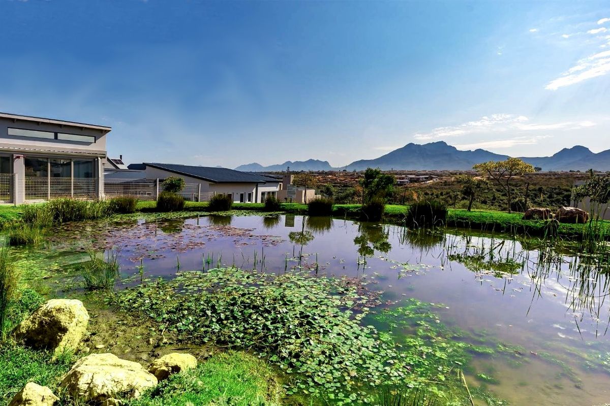 A scenic view of a natural pond set within a landscaped garden, featuring expansive mountain vistas in the background.