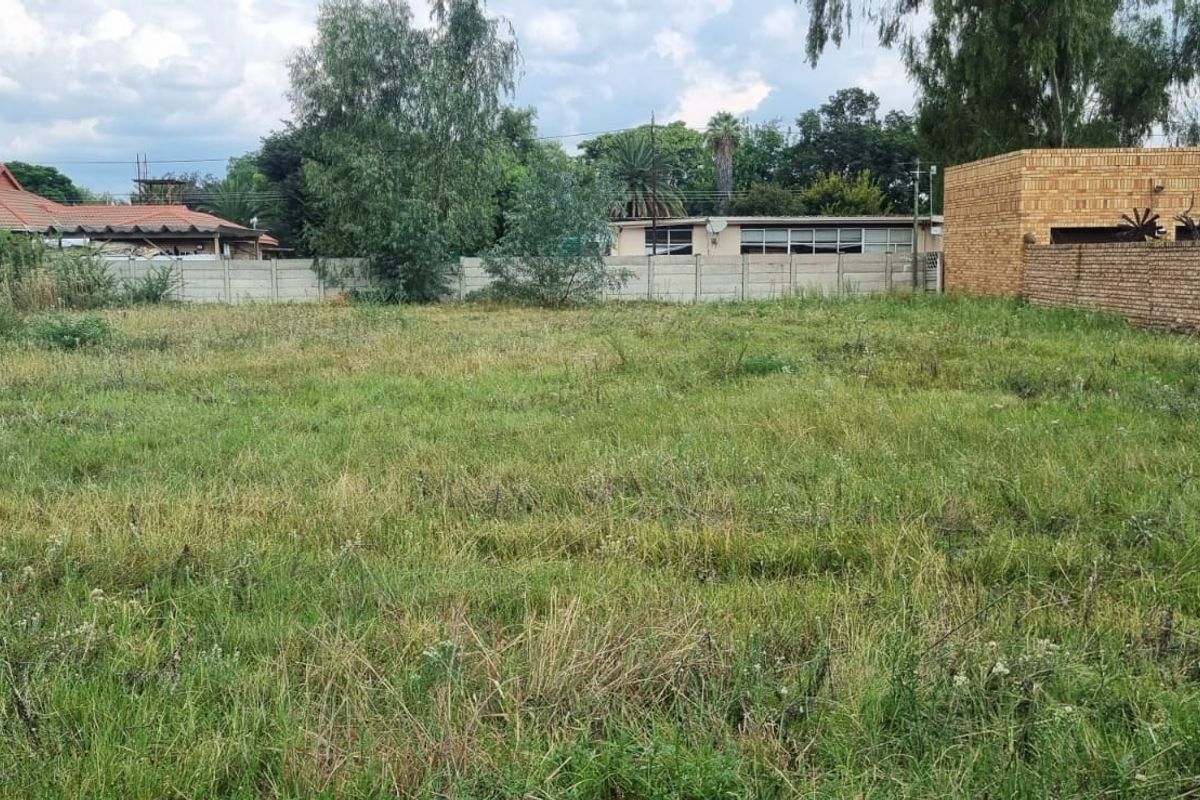 A vacant residential plot featuring overgrown grass and established boundary walls, offering a blank canvas for future development.