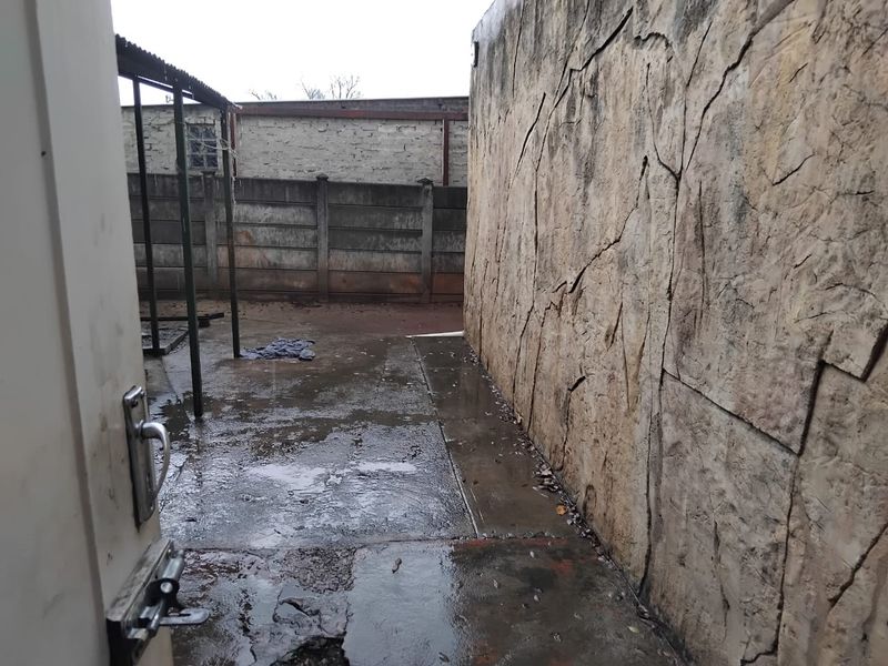 A view of a rear outdoor area featuring a textured stone-effect wall, concrete paving, and a perimeter boundary wall.
