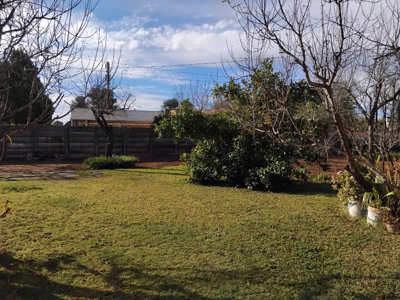 A spacious backyard garden featuring a well-established lawn, mature citrus trees, and a secure precast concrete boundary wall.