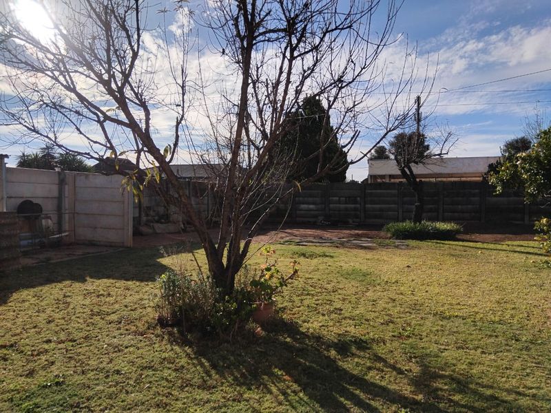 A spacious backyard garden featuring a large central tree and enclosed by precast concrete boundary walls.