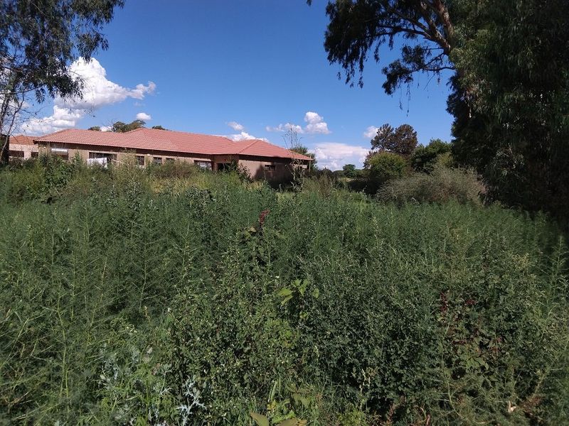 A view of the rear elevation of a residential property, partially obscured by dense, overgrown vegetation on the plot.