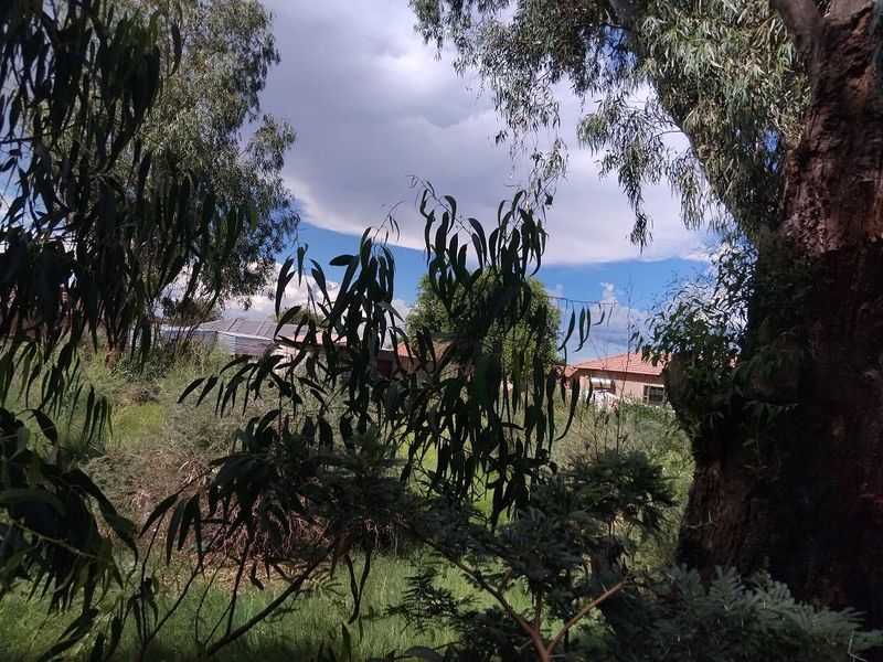A view of the surrounding landscape and neighboring residential properties framed by mature trees on the vacant land.