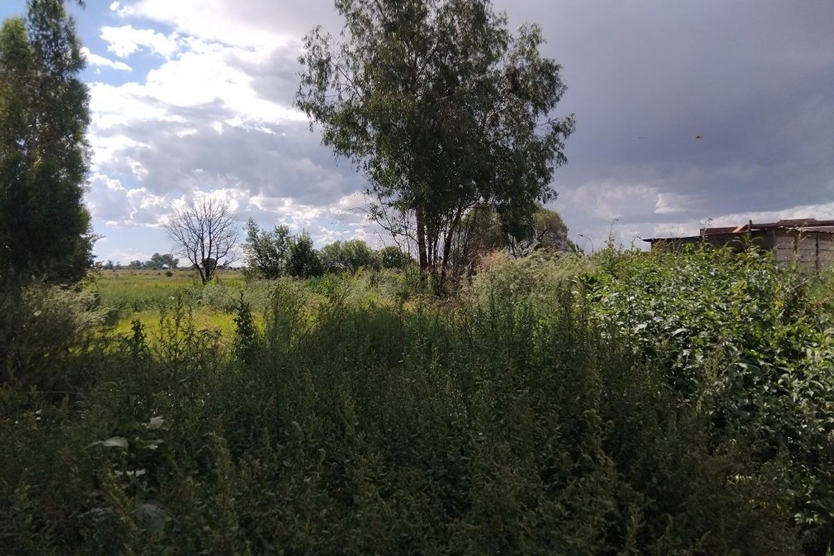 A view of an undeveloped residential plot featuring mature trees and dense natural vegetation under a cloudy sky.