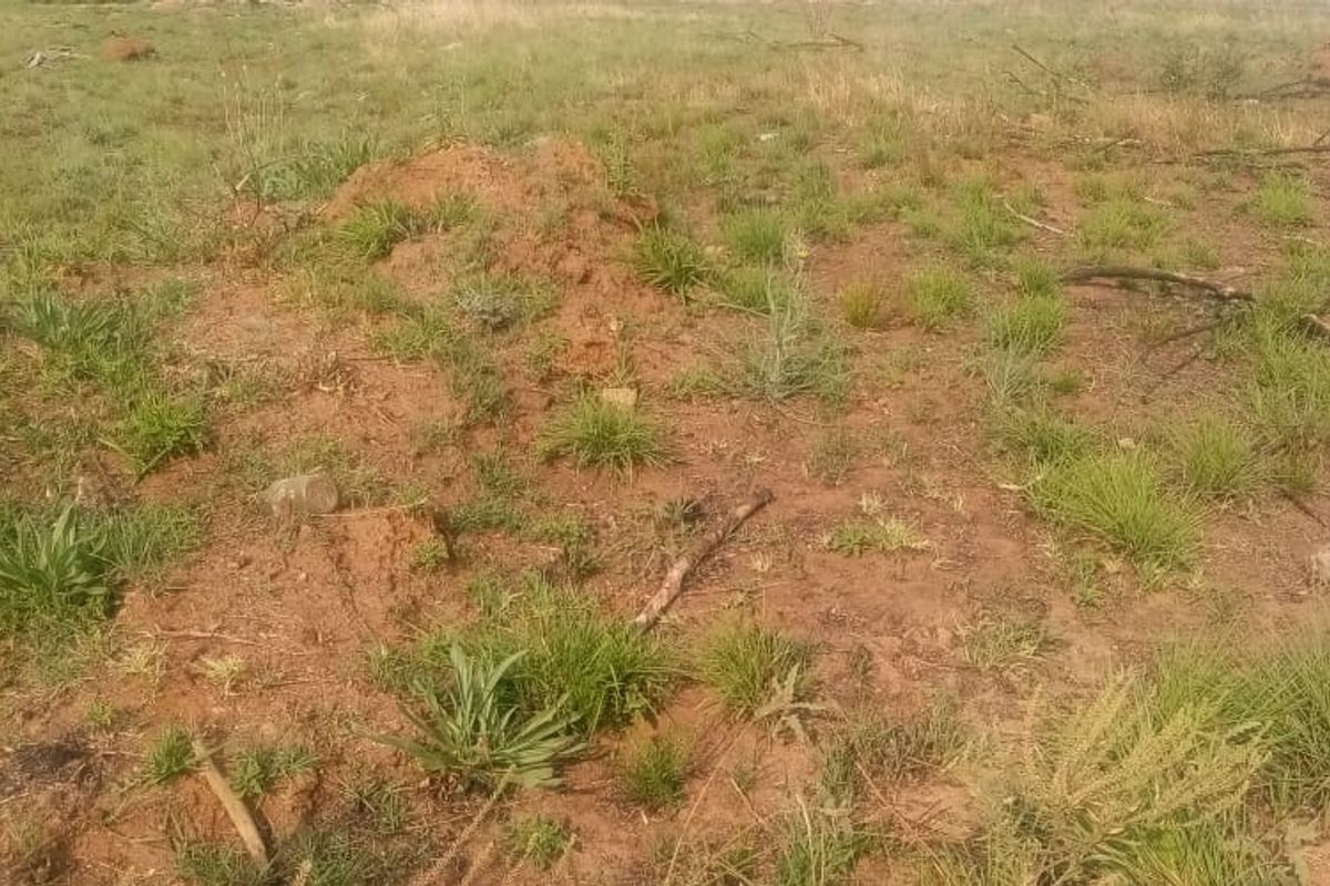 A view of undeveloped residential land featuring natural grass, soil, and scattered vegetation.