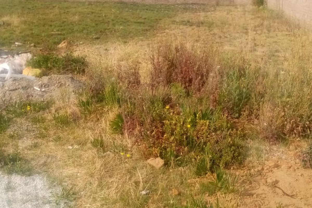 A vacant residential plot featuring overgrown grass, weeds, and scattered debris, enclosed by a boundary wall.