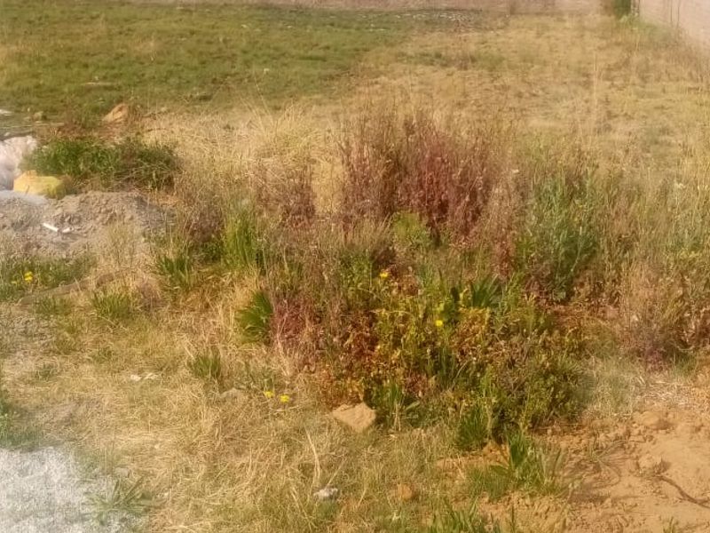 Vacant Erf in Stilfontein Ext 4 awaits your dream home - Photo 1