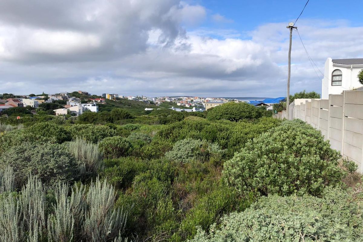 A view of the surrounding residential neighborhood and coastal landscape from the vacant residential plot, featuring natural vegetation and existing boundary wall infrastructure.
